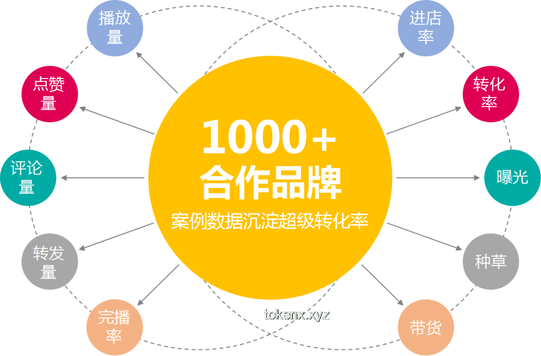 特厨隋坡的启示：MCN的自我毁灭路径与创新重生策略 🔥, 转型, 策略升级, 内容创新, 数字化生态